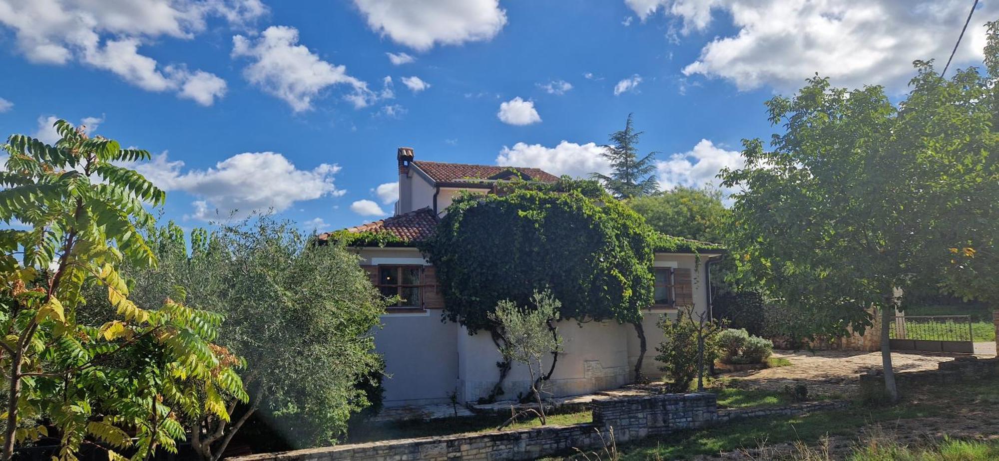Villa Mimosa Novigrad  Exterior photo